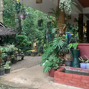 Jungleview Homestay Idukki
